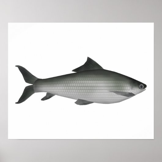 Gemeenschappelijk etiket poster (Voorkant)