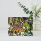 Gemeenschappelijke Buckeye Butterfly Happy Birthda Briefkaart (Staand voorkant)