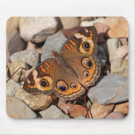Gemeenschappelijke Buckeye Butterfly op River Rock Muismat