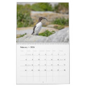 Gemeenschappelijke Murre Kalender 2026 (Feb 2026)