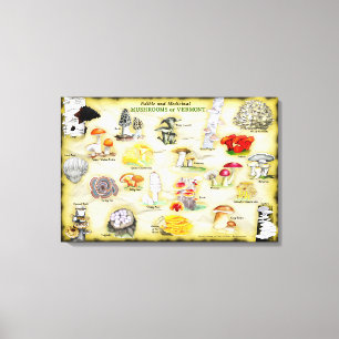 Gemeenschappelijke Namen Canvas 30x20 Paddenstoele Afdruk
