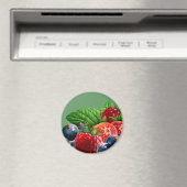 Gemengd fruit magneet (Insitu (Vaatwasser))