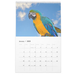 Gemengde dieren en vogels Kalender