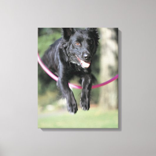 Gemengde GRENSCOLIE Canvas Afdruk (Voorkant)
