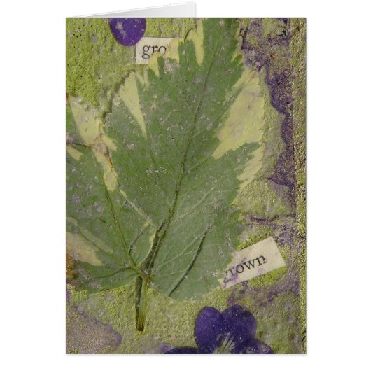 Gemengde media (Voorkant)