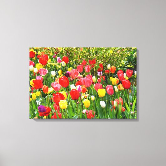 Gemengde tulpen floraal canvas afdruk (Voorkant)