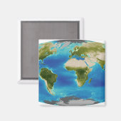 Gemiddelde groei van het plant van de aarde magneet (Voorkant / Achterkant)