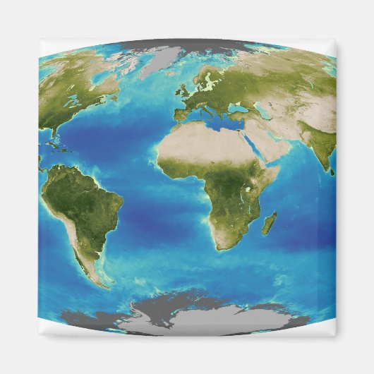 Gemiddelde groei van het plant van de aarde magneet (Voorkant)