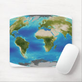 Gemiddelde groei van het plant van de aarde muismat (Met muis)