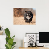 Gemiddelde kijkende sverzatie poster (Thuiskantoor)