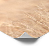 Gemiddelde kijkende sverzatie poster (Hoek)