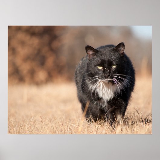 Gemiddelde kijkende sverzatie poster (Voorkant)