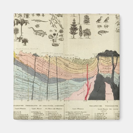 Gemiddelde van een deel van de aardkorst magneet (Voorkant)