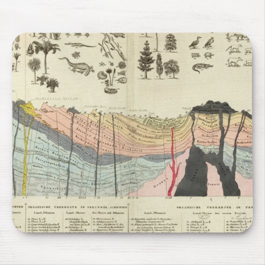 Gemiddelde van een deel van de aardkorst muismat (Voorkant)