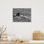Gemini 11 Splashdown & Recovery Poster (Keuken)