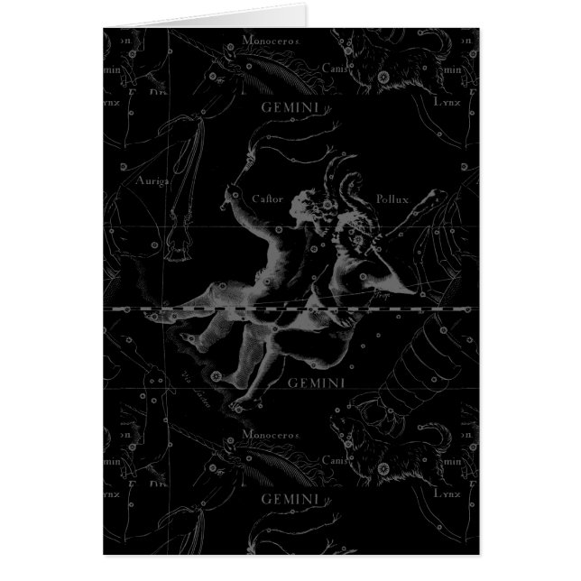 Gemini Constellation Map Engraving by Hevelius (Voorkant)