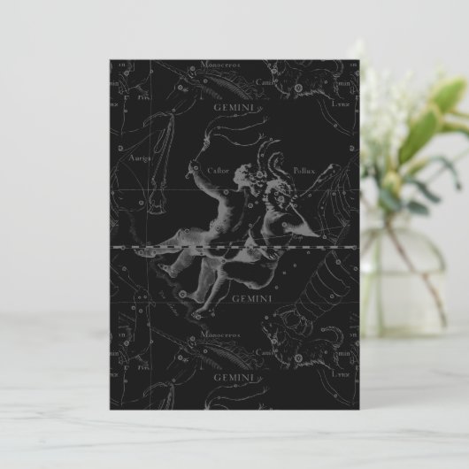 Gemini Constellation Map Engraving by Hevelius (Staand voorkant)