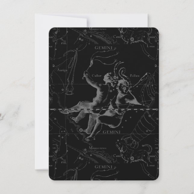 Gemini Constellation Map Engraving by Hevelius (Voorkant)