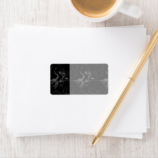 Gemini Constellation Map Engraving by Hevelius Etiket (Insitu)