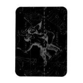 Gemini Constellation Map Engraving by Hevelius Magneet (Verticaal)