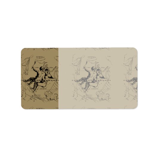 Gemini Constellation Map Hevelius circa 1690 Etiket (Voorkant)