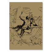 Gemini Constellation Map Hevelius circa 1690 Kaart (Voorkant)