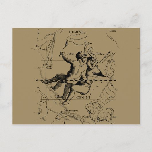 Gemini Constellation Zodiac Hevelius 1690 Briefkaart (Voorkant)