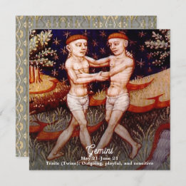 Gemini de tweeling Zodiac teken Verjaardagsfeest Kaart