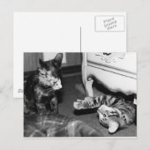 Gemini en Whisper Briefkaart (Voorkant / Achterkant)