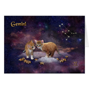 Gemini for Cat Lovers