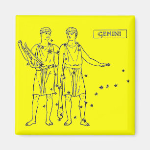 Gemini Magnet Magneet