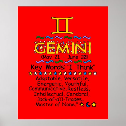 GEMINI POSTER (Devant)