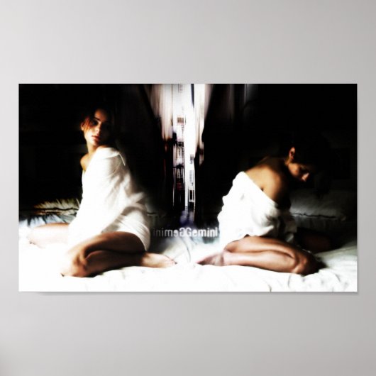 Gemini-poster Poster (Voorkant)