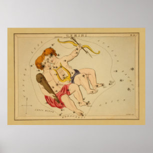 Gemini -  teken van het Afbeelding van de dierentu Poster