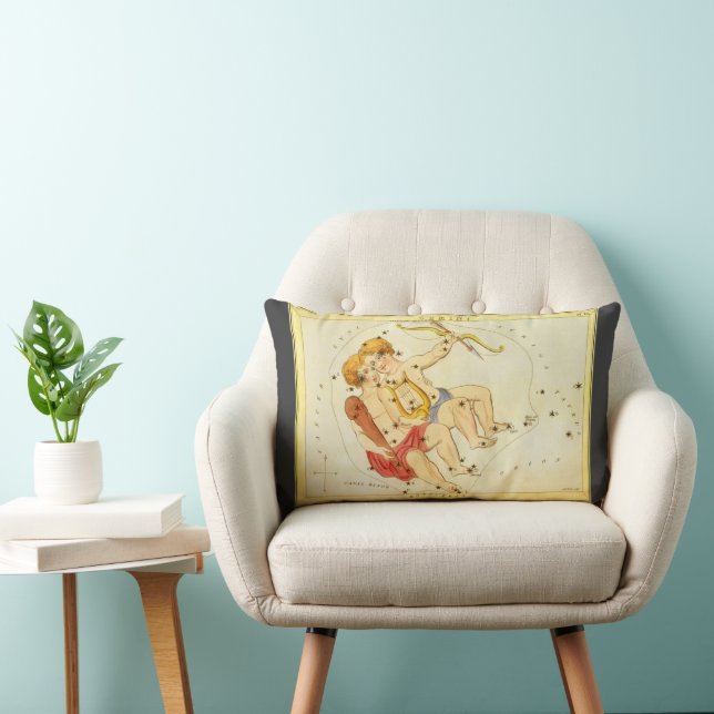 Gemini Tweeling Antieke Constellatie Urania's Spie Kussen (Stoel)