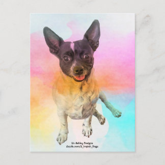 Gemma Disco Ansichtkaart Briefkaart