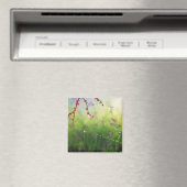 Gemmes d'un aimant du matin du printemps (In Situ (Lave-vaisselle))