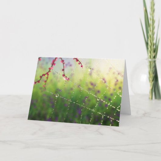 Gemmes d'une carte du matin du printemps (Devant)