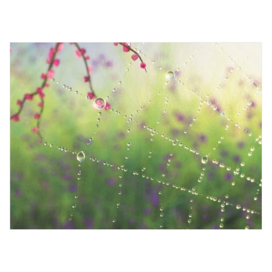 Gemmes d'une nappe du matin du printemps (Devant (Horizontal))