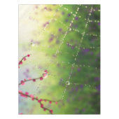 Gemmes d'une nappe du matin du printemps (Devant)