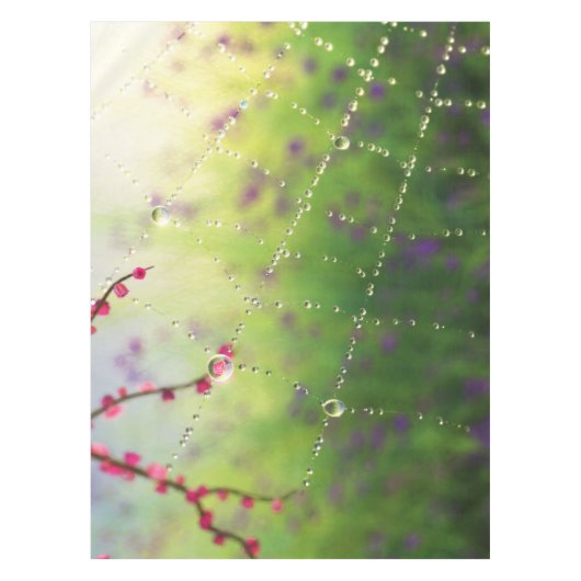 Gemmes d'une nappe du matin du printemps (Devant)