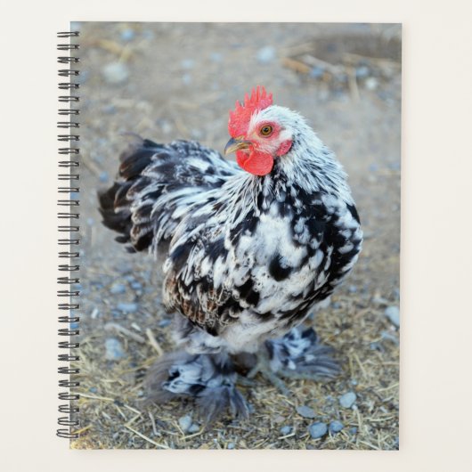 Gemotteld Bantam Cochin Chicken Planner (Voorkant)
