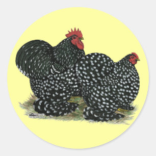 Gemottelde kippen ronde sticker