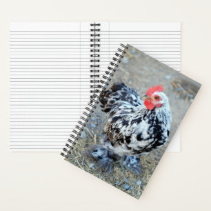 Gemottled Bantam Cochin Chicken Journal-Notitieboe Notitieboek