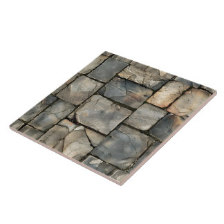 Gemouteerd Flagstone Patio Tegels Close-up Tegeltje