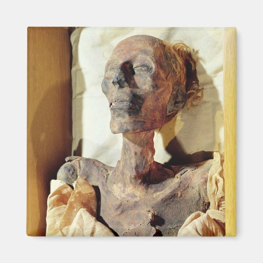 Gemummificeerd lichaam van Ramesses II gevonden in Magneet (Voorkant)