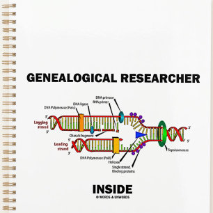 Genalogisch onderzoeker in DNA-replicatie Planner