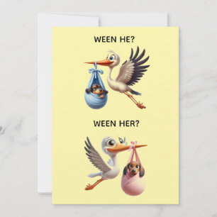 GENDER ONTHULLINGSFEESTJE KAART