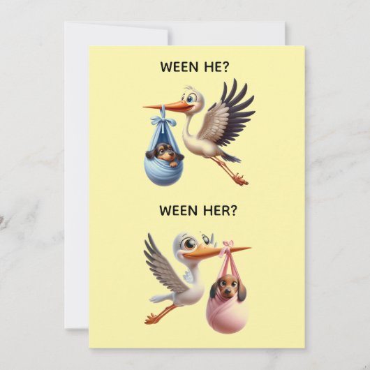 GENDER ONTHULLINGSFEESTJE KAART (Voorkant)