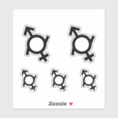 Genderfluïde gender symbool sticker (Vel)